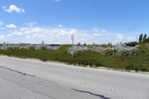 Levee Project Rendering: Near San Mateo Border 