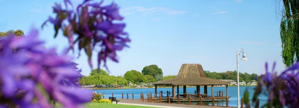 Gazebo with Purple Flowers