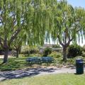 Tree Updates