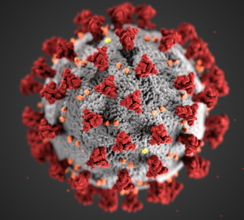 novel coronavirus (COVID-19)