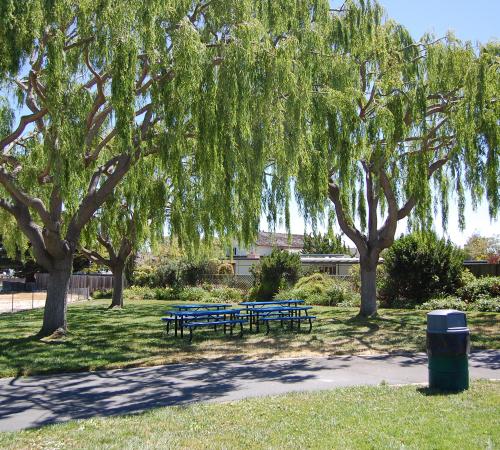 Tree Updates