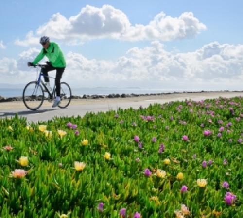 Riding Bike On Levee