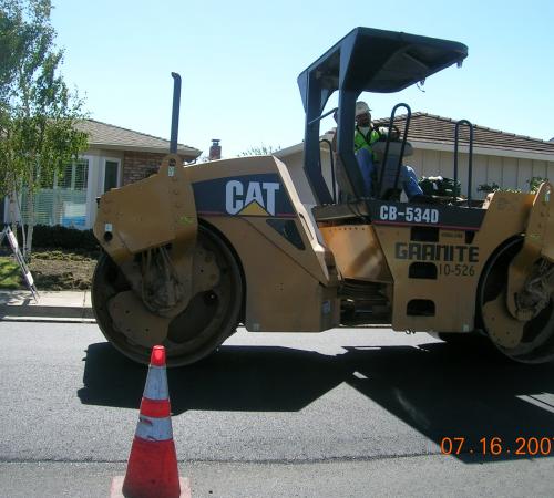 Cat Paver