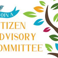 join a citizen advisory committee