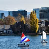 Boats in Lagoons