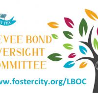 Serve on the Levee Bond Oversight Committee