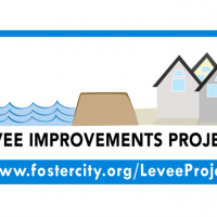 Levee Project
