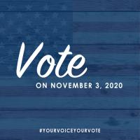 Vote on November 3, 2020