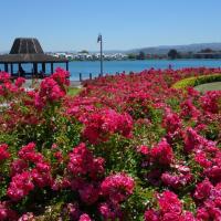 Foster City