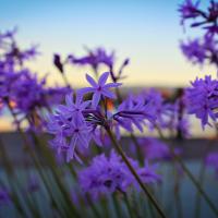 Citizen Advisory Committee Openings
