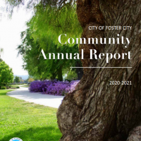 2021 Report
