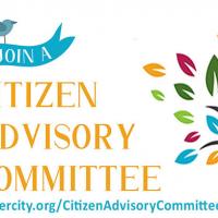 traffic review committee recruitment