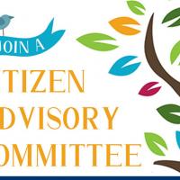 citizen advisory committee