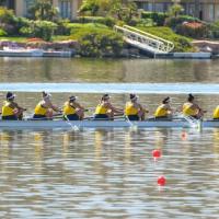 regatta