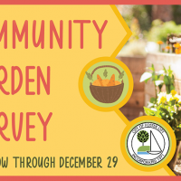 community garden