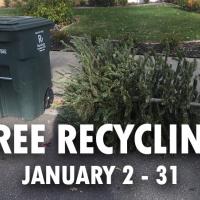 tree recycling