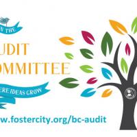 Join the Audit Committee Graphic