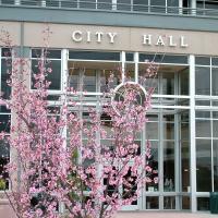 City Hall with Blossoms