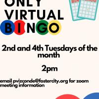 Seniors-only Bingo Flyer 