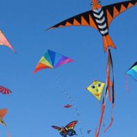 kites