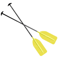 pair of paddles