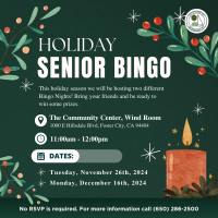 Holiday Senior Bingo 