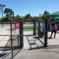 Dog Park 