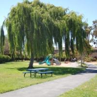 Shad Park