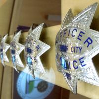 Police Activity