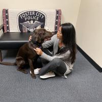 Wellness Dog