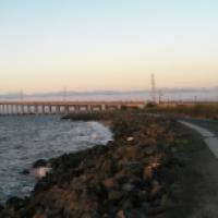 Levee Protection Planning and Improvements Project