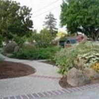 Alternatives to Lawns Workshop