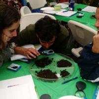 Learning about compost