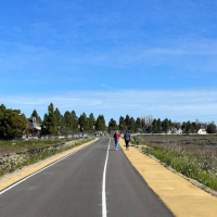 bike ped