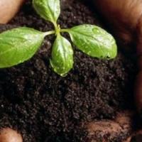 Compost Giveaway