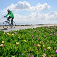 Riding Bike On Levee