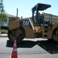 Cat Paver