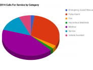 Calls for Service By Category