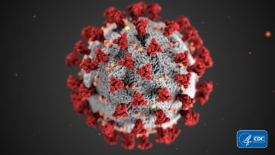 novel coronavirus (COVID-19)