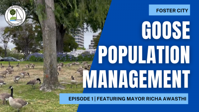 episode 1 goose management video