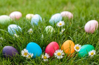 Egg Hunt
