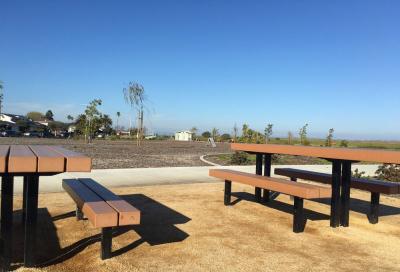 Shorebird Park picnic