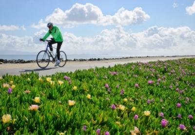 Riding Bike On Levee