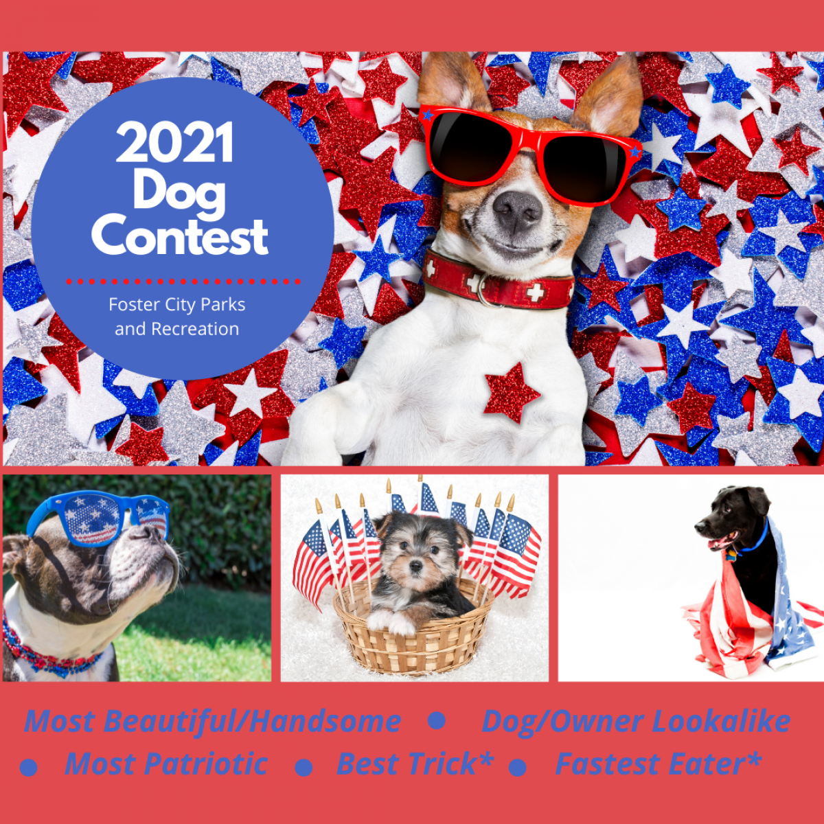 Fourth of July Dog Contest