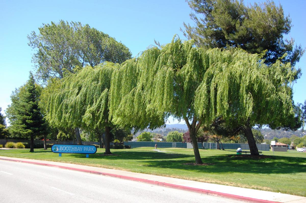 Boothbay Park Foster City California