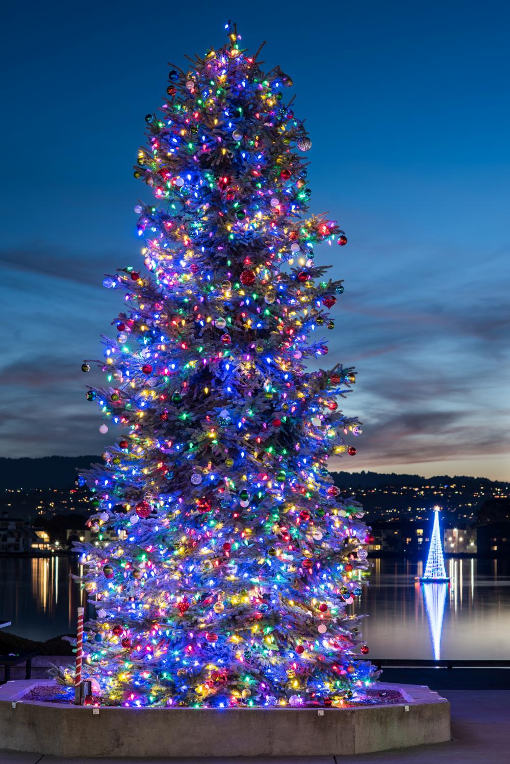 Bend Tree Lighting 2025
