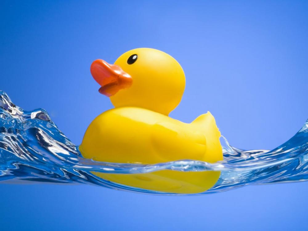 Rubber Ducky Event Registration Foster City California